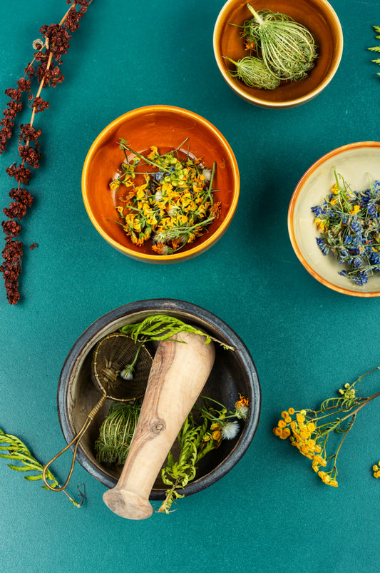 Wildcrafting Beyond Food: Eco-Friendly Dyes from Local Plants in Canada