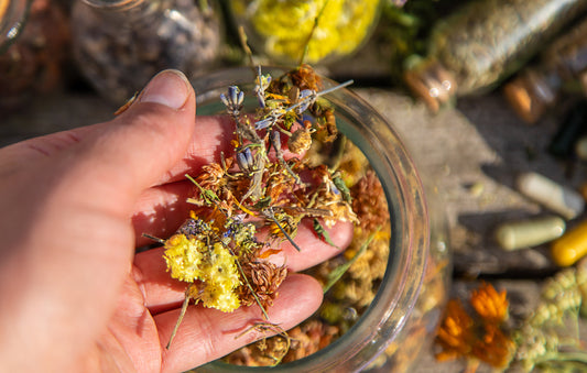 Botanical Synergy for Hormonal Balance: A Look at Key Menopause-Supportive Herbals