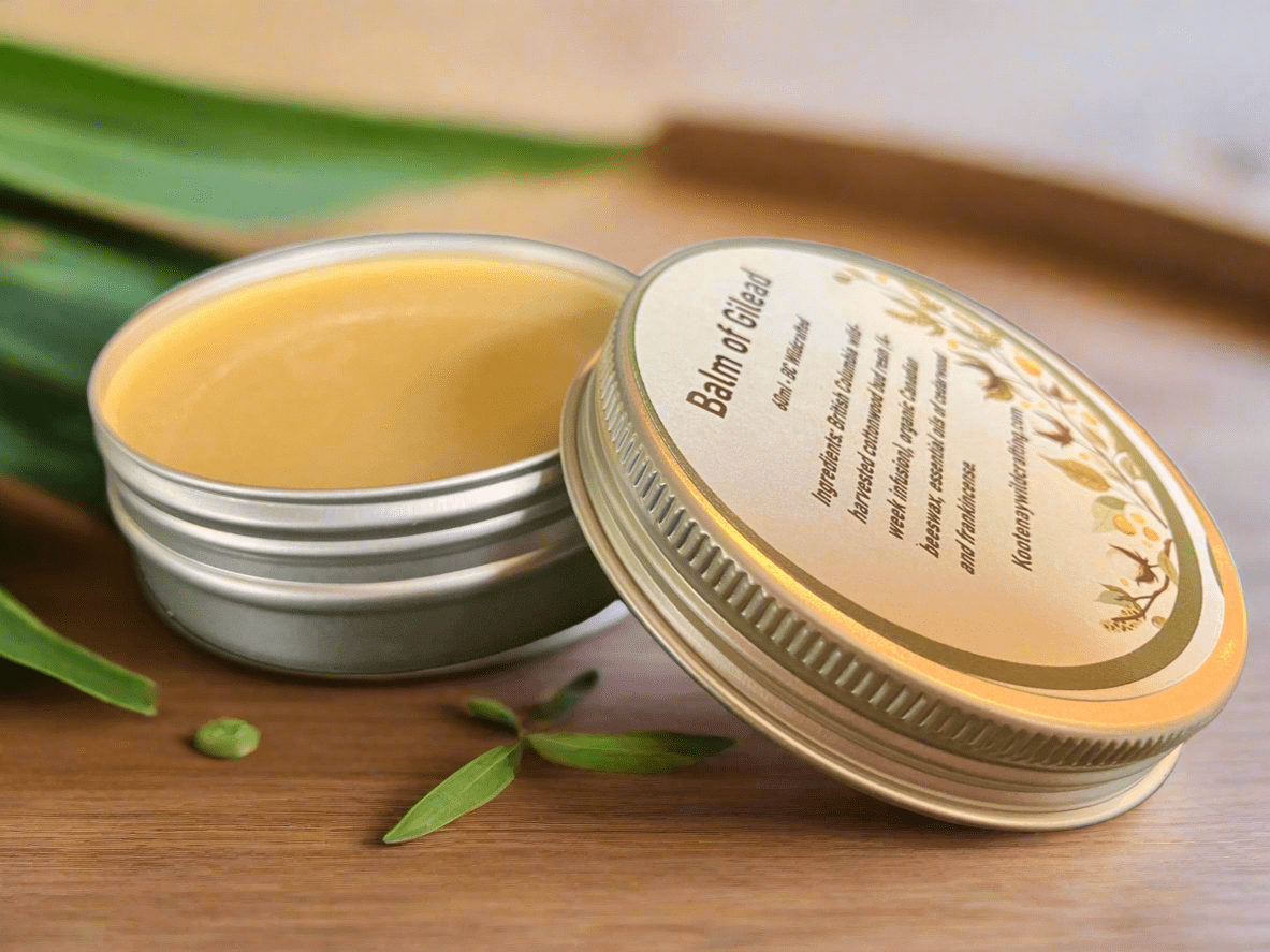 Balm of Gilead Salve – Kootenay Woman