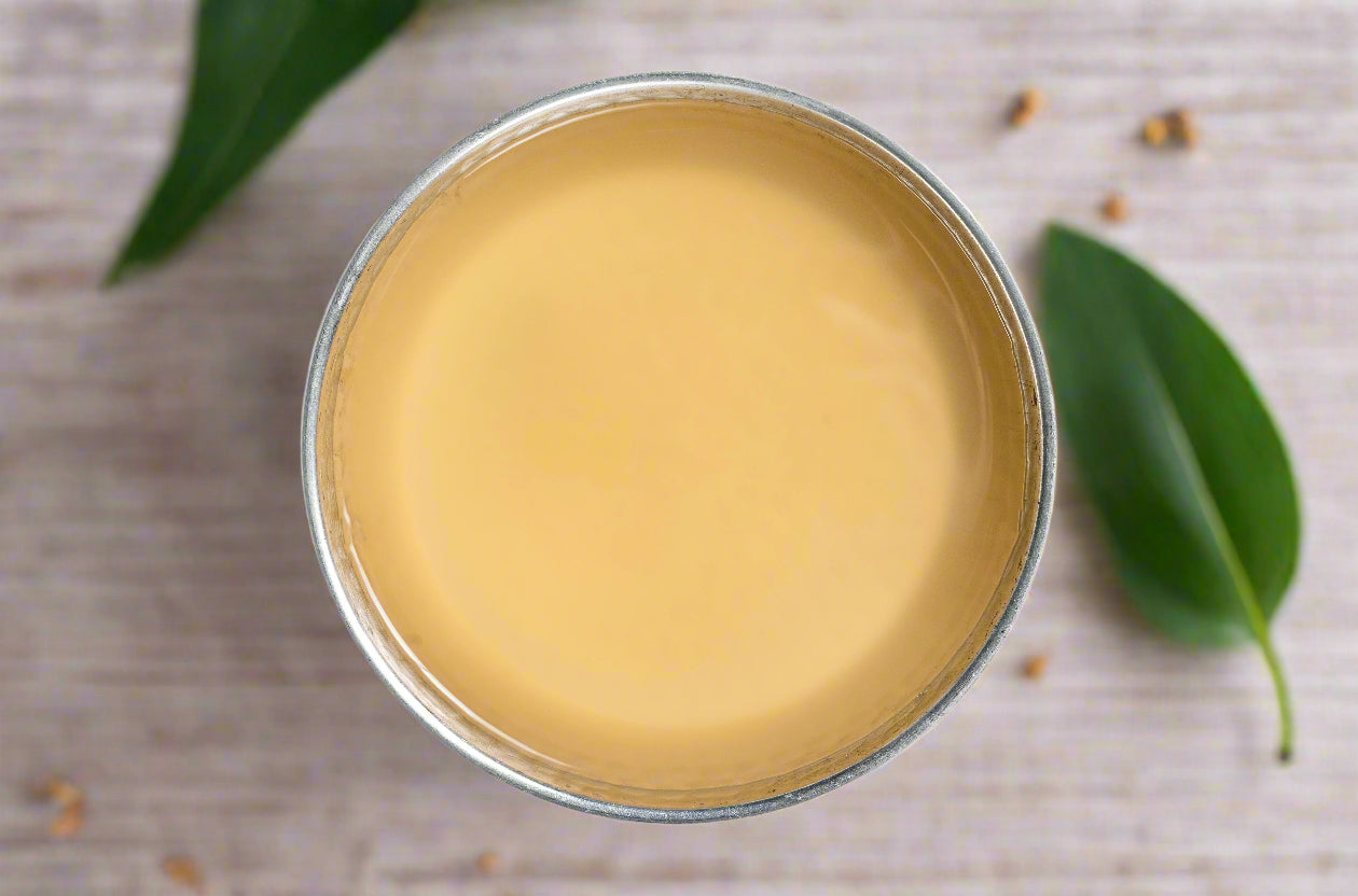 Balm of Gilead Salve