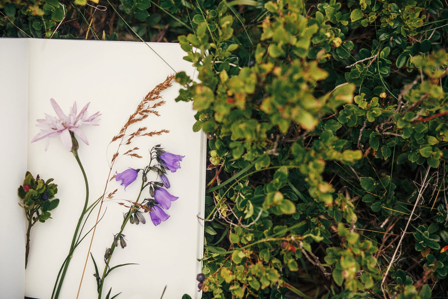 Mother's Day Card with Handwritten Message - Kootenay Woman