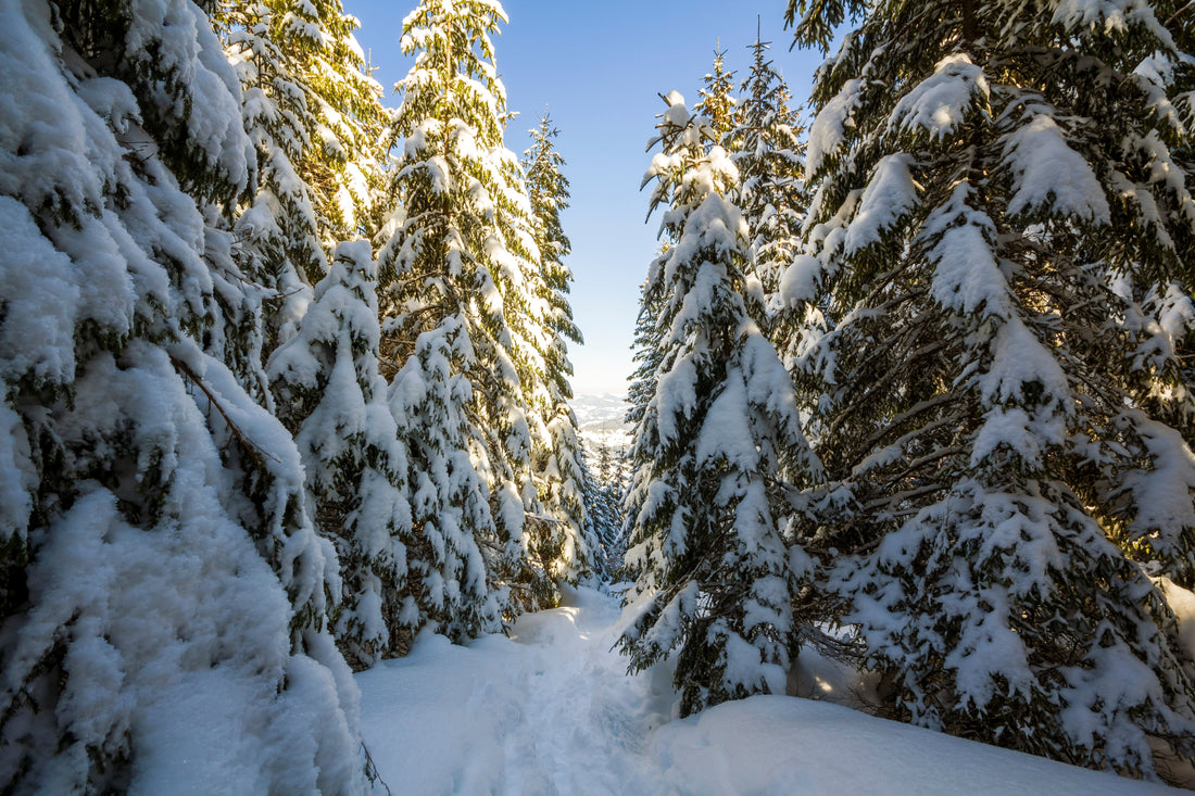 Battling Winter Dryness: The Canadian Dilemma - Kootenay Woman