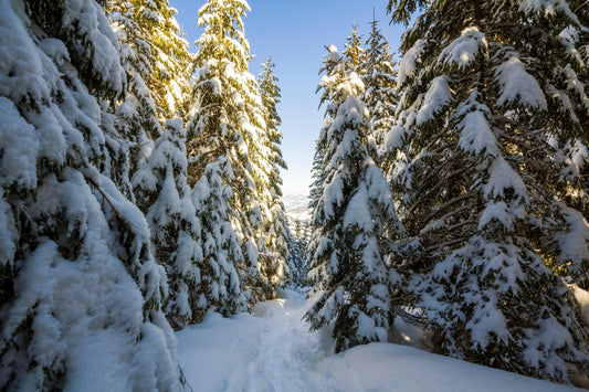 Battling Winter Dryness: The Canadian Dilemma - Kootenay Woman