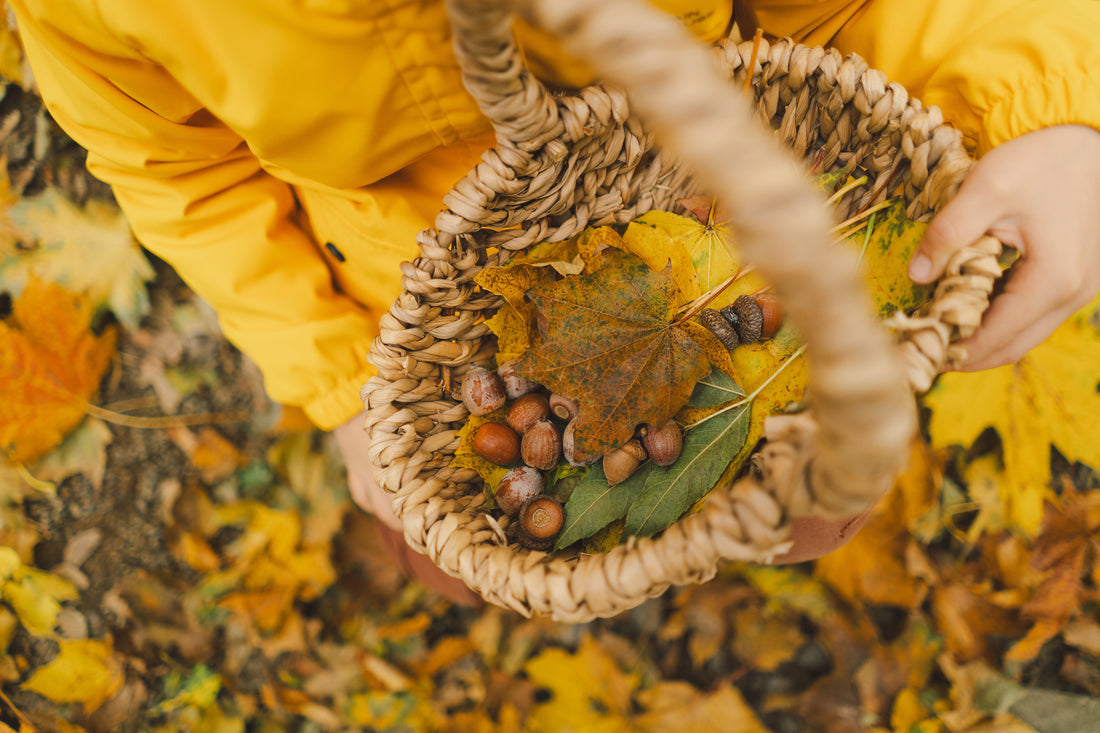 A Journey to the Source: Our Annual Autumn Foraging Hiatus