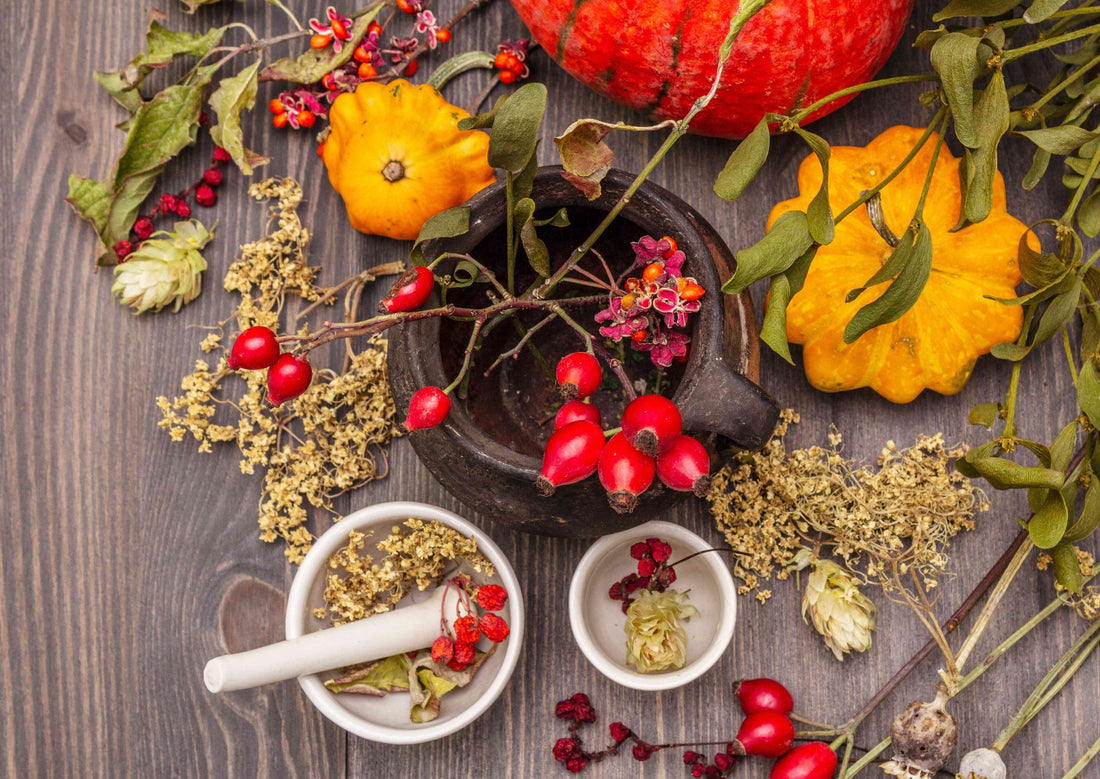 The Halloween Sugar Hangover: A Gentle Guide to Resetting Your System