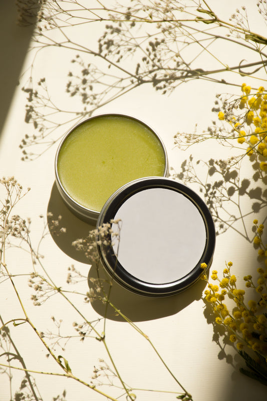 How to Make Pine Needle Salve: Preserving the Essence of the Beautiful Pine - Kootenay Woman