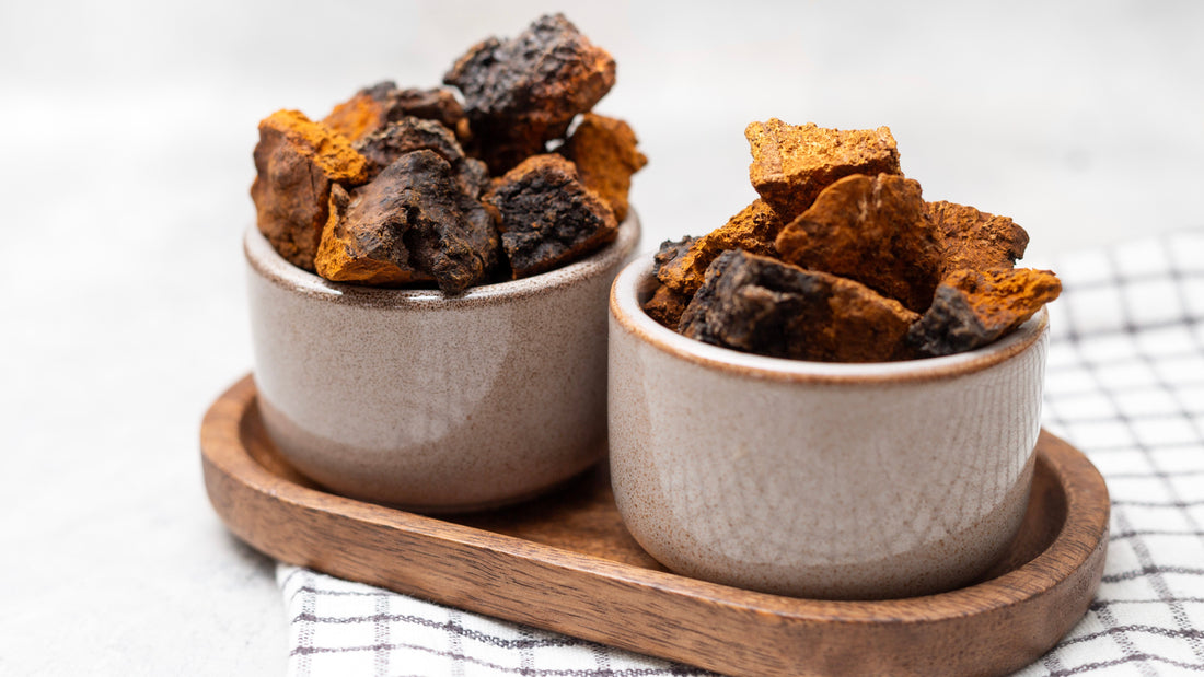 The Science Behind Chaga Mushroom: How It Soothes the Immune System and Shields the Body from Stress - Kootenay Woman