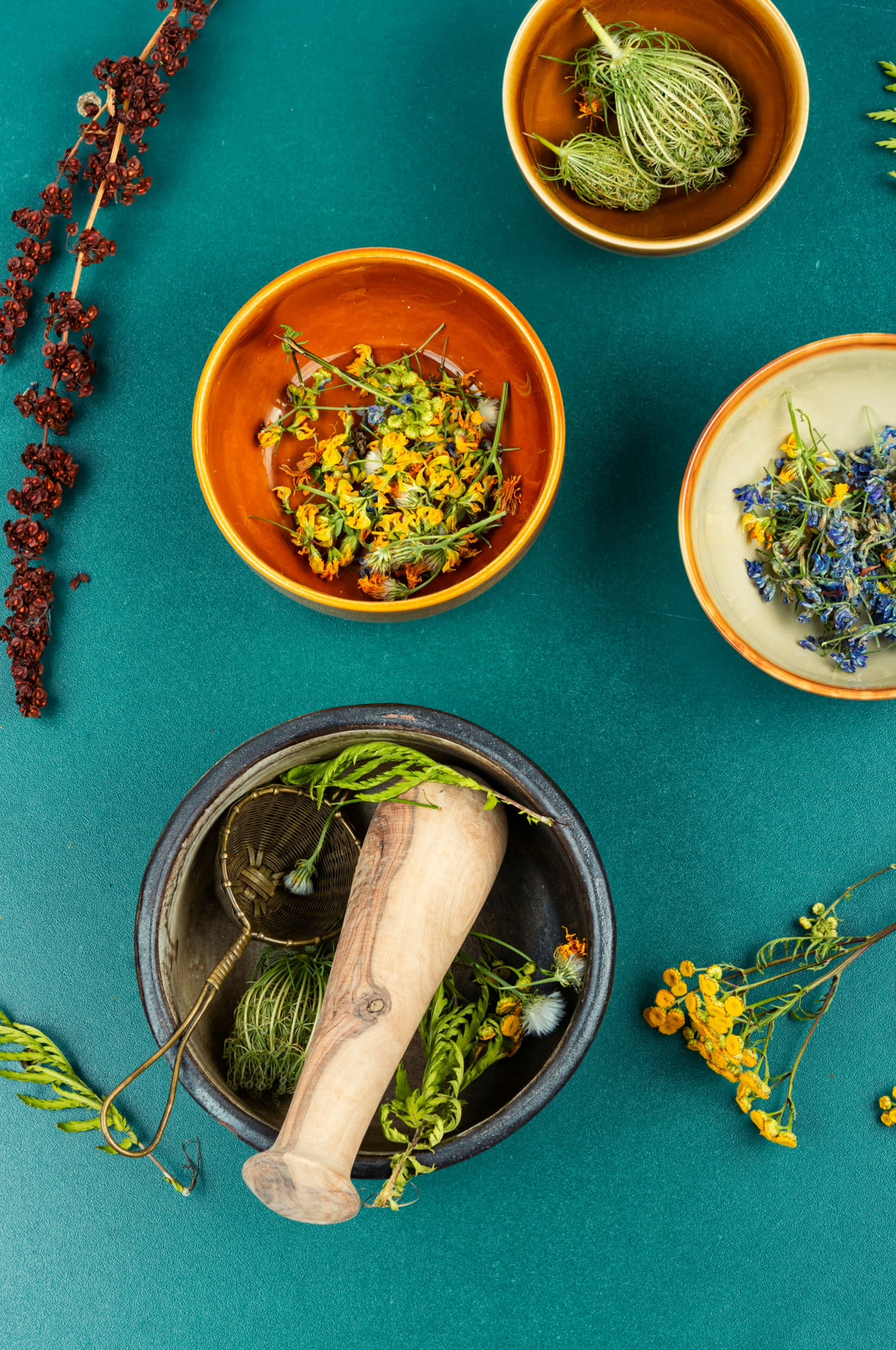 Wildcrafting Beyond Food: Eco-Friendly Dyes from Local Plants in Canada - Kootenay Woman