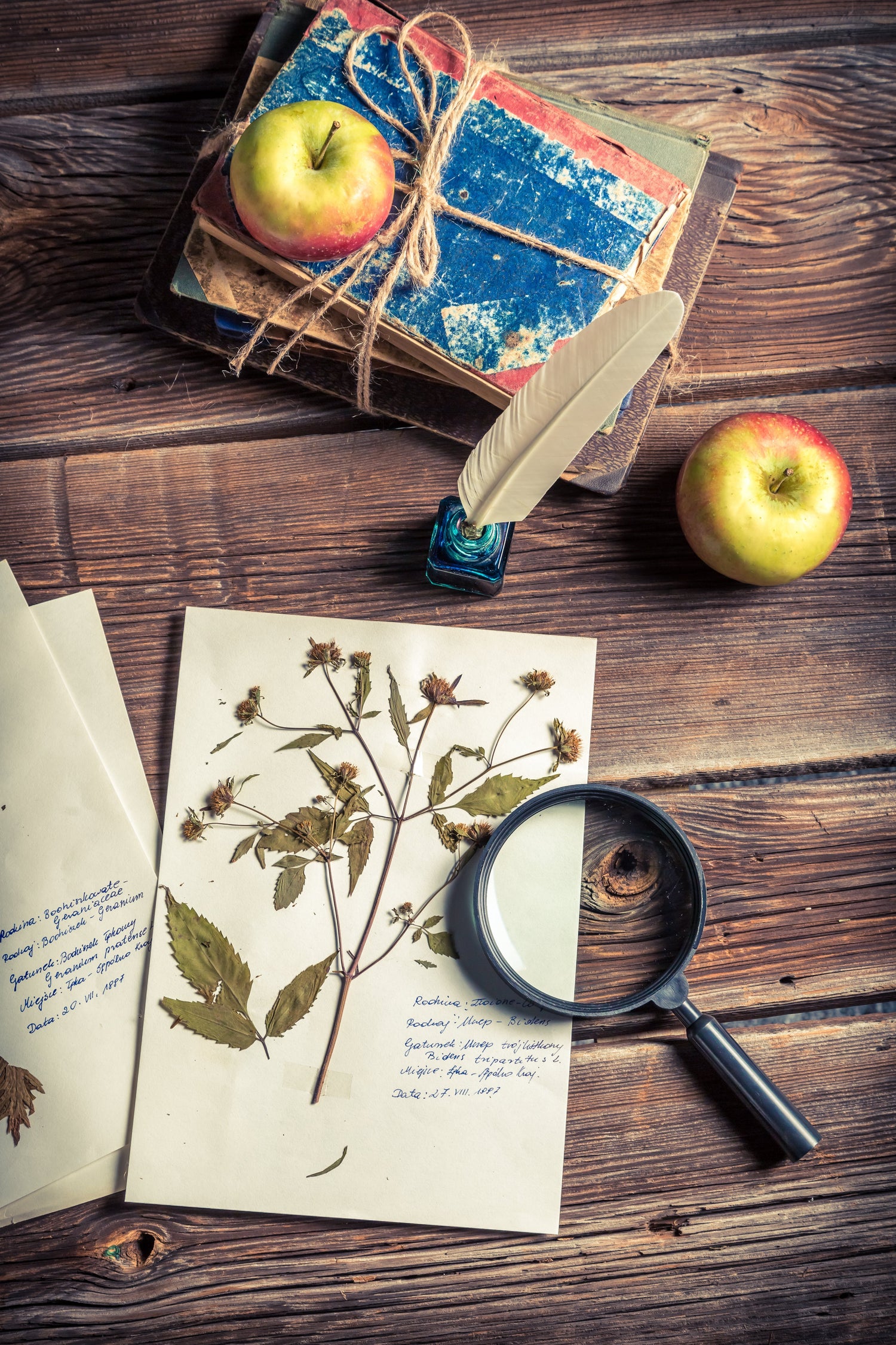 Foraging Resources: Free Library - Kootenay Woman