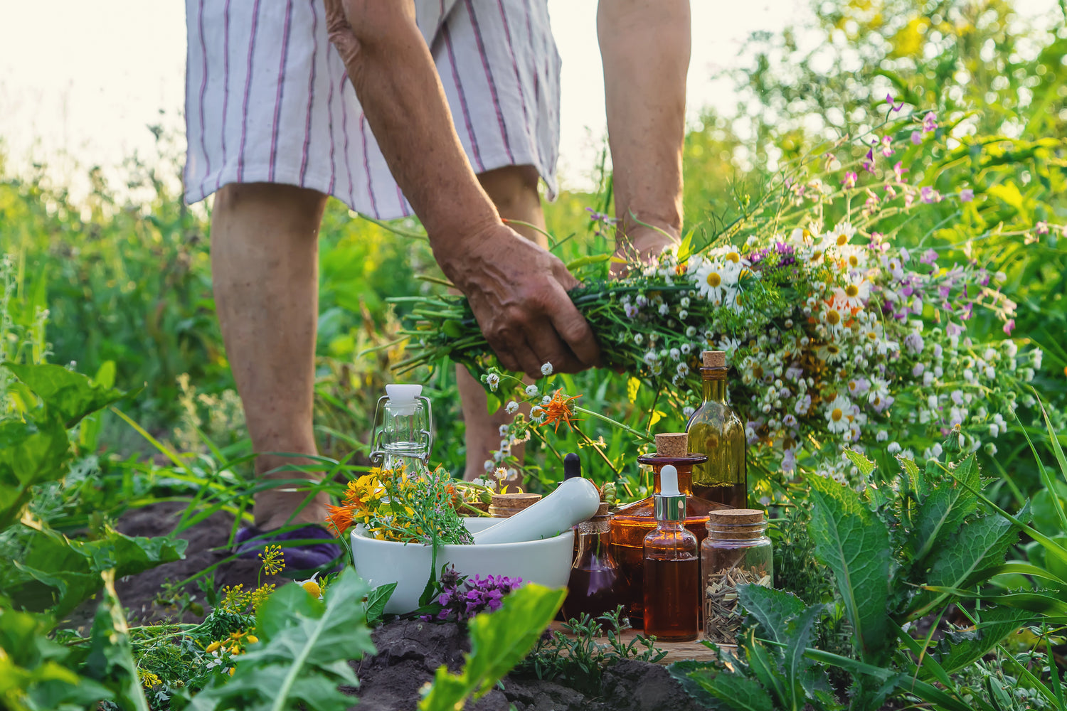 Summer Wellness Bundles