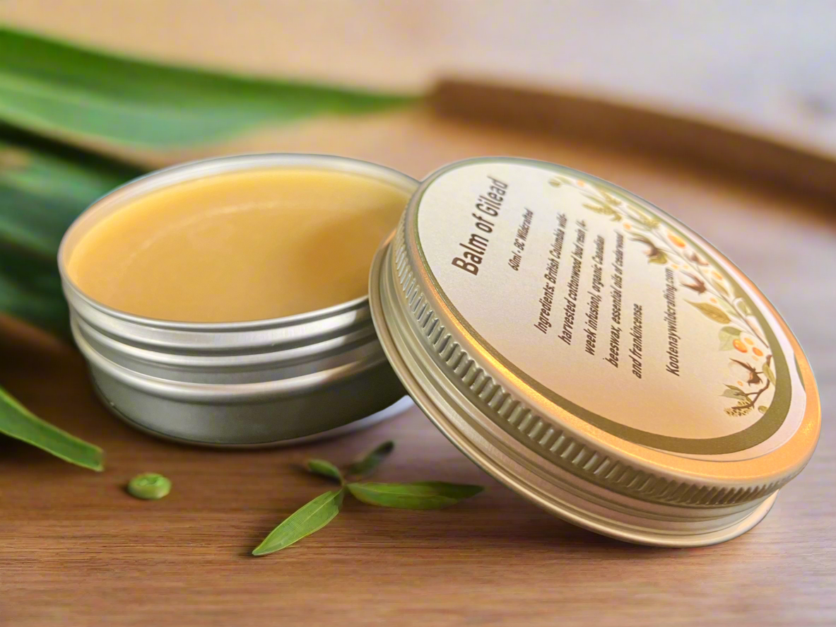 Balm of Gilead Salve