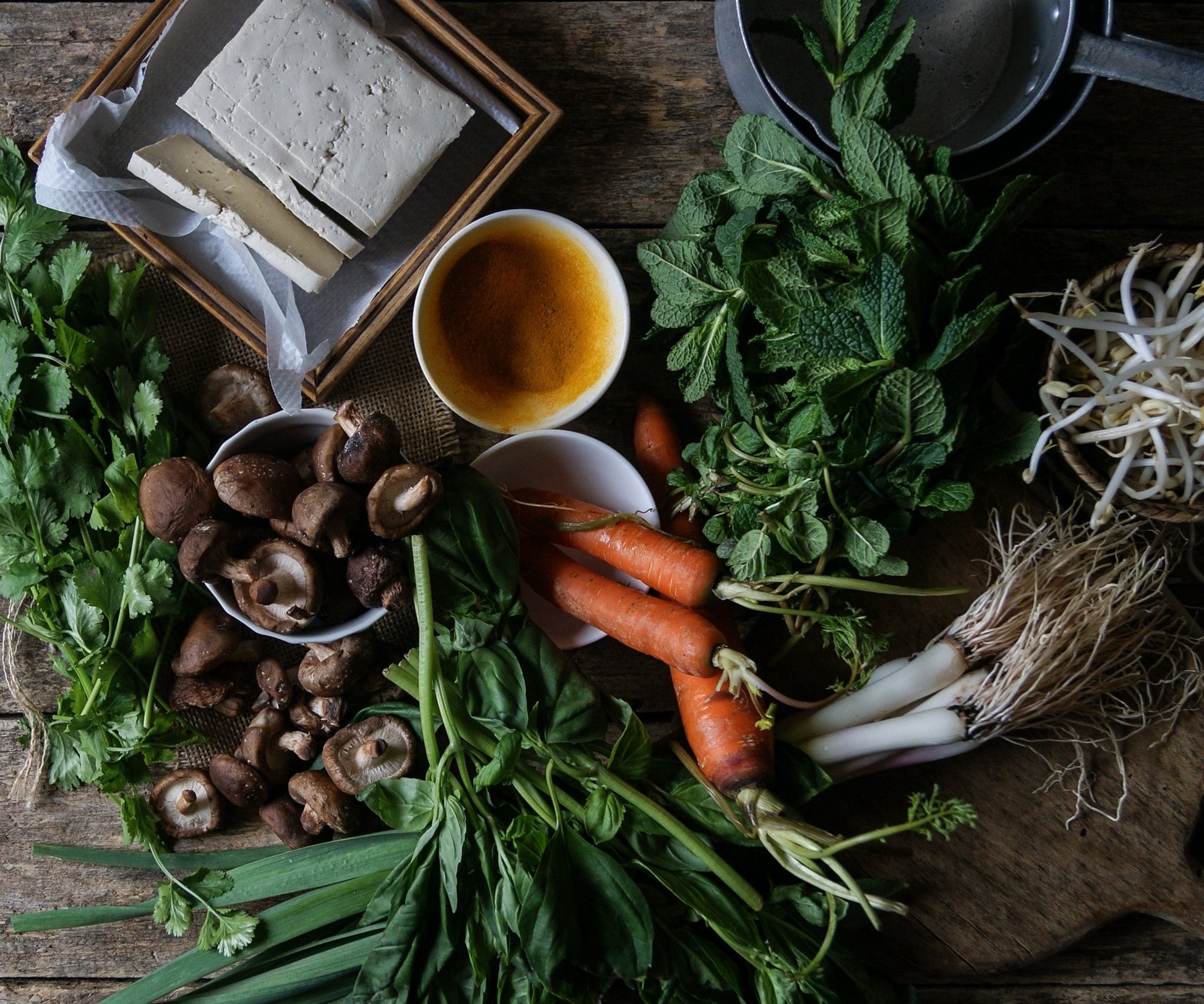 A Taste of the Wild: Canadian Foraged Foods Cookbook - Kootenay Woman