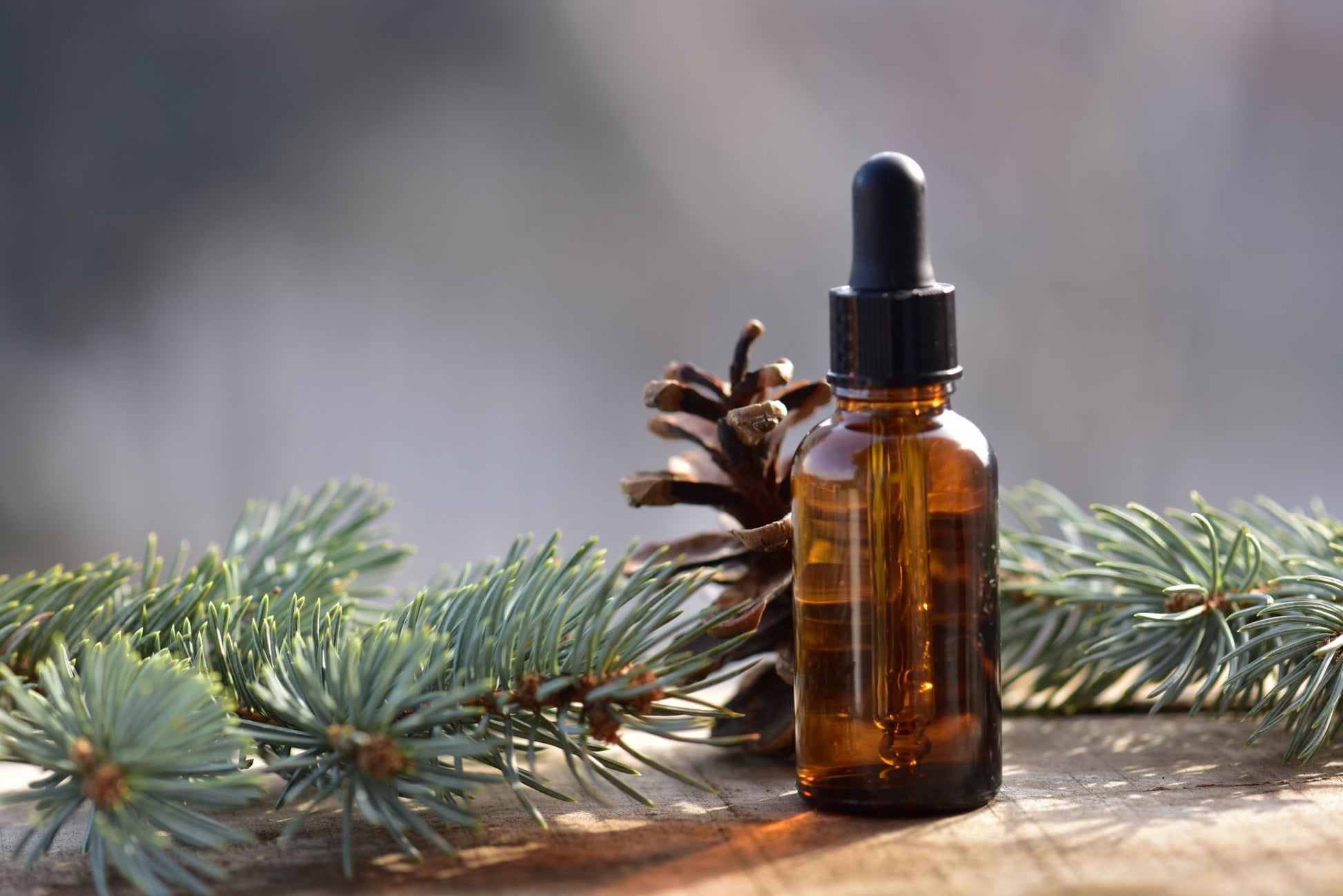 Forest Crown Hair & Scalp Oil (30 ml amber glass) - Kootenay Woman