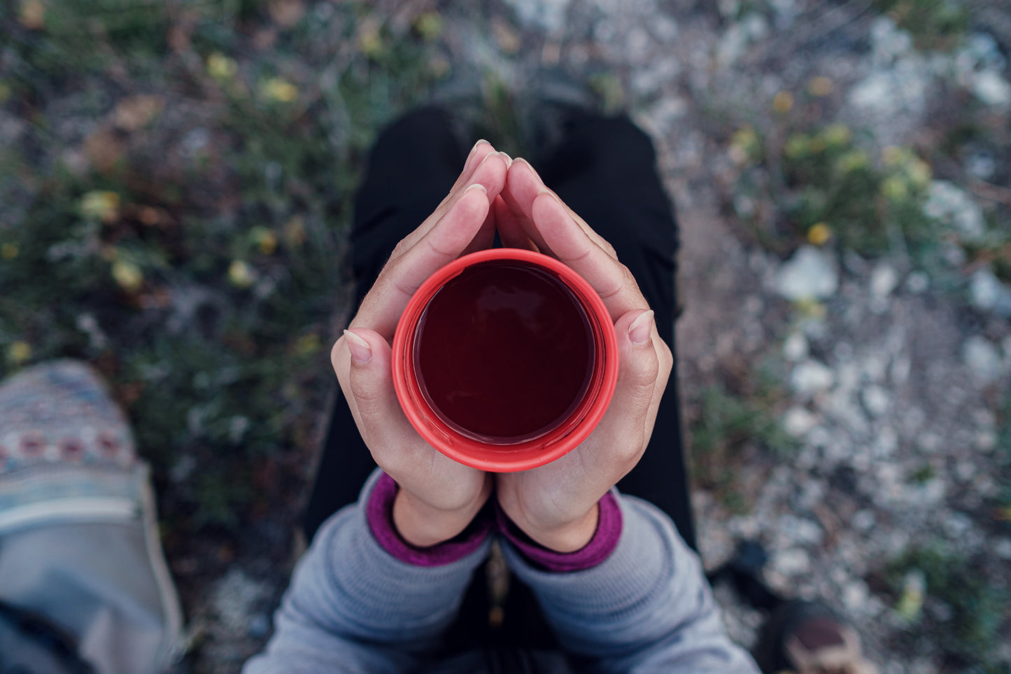 Sacred Grounds: Organic Chaga-Coffee Mocha (sugar-free, dairy-free)