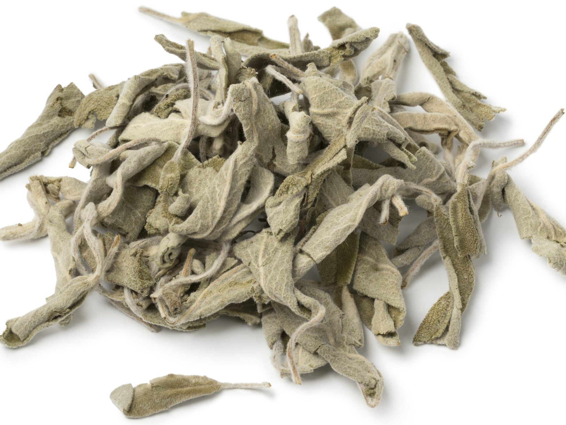 Mullein Leaves - Kootenay Woman