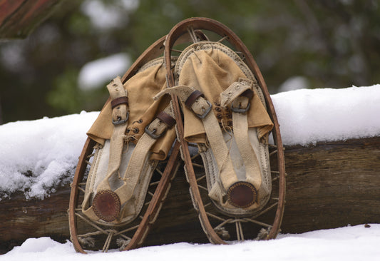 Trailside Recovery Bundle