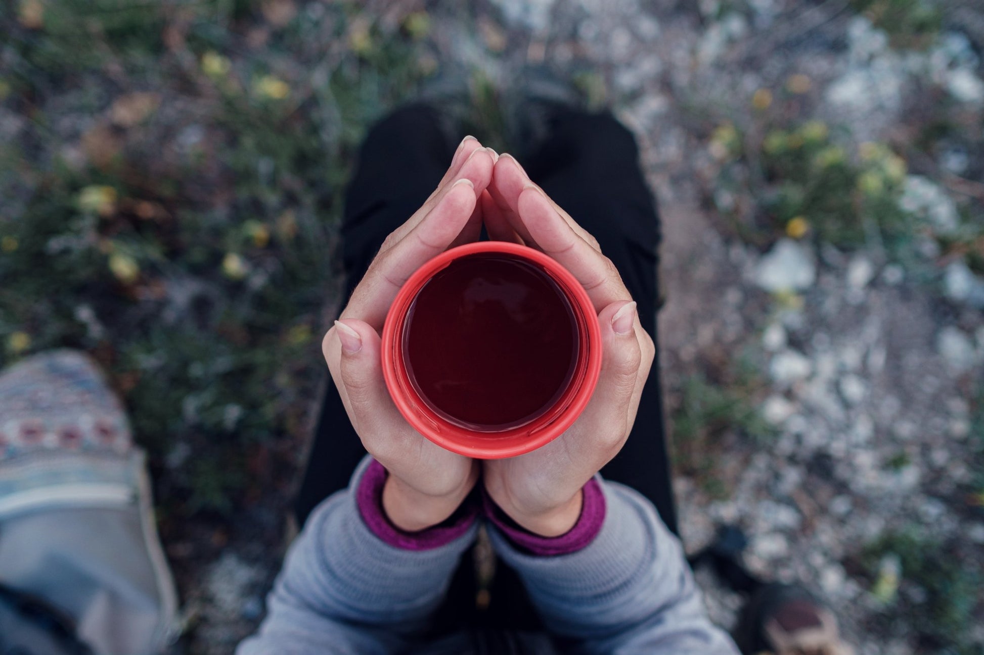 Sacred Grounds: Organic Chaga - Coffee Mocha (sugar - free, dairy - free) - Kootenay Woman