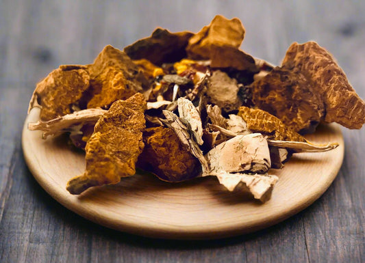 Warm Earth Chaga Turmeric Tea - Kootenay Woman