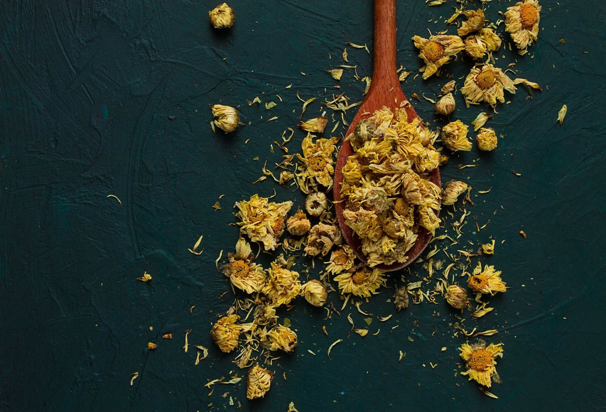 Wild - Harvested Arnica Flowers (Arnica Montana) - Kootenay Woman