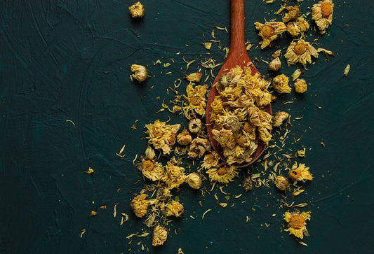 Wild - Harvested Arnica Flowers (Arnica Montana) - Kootenay Woman