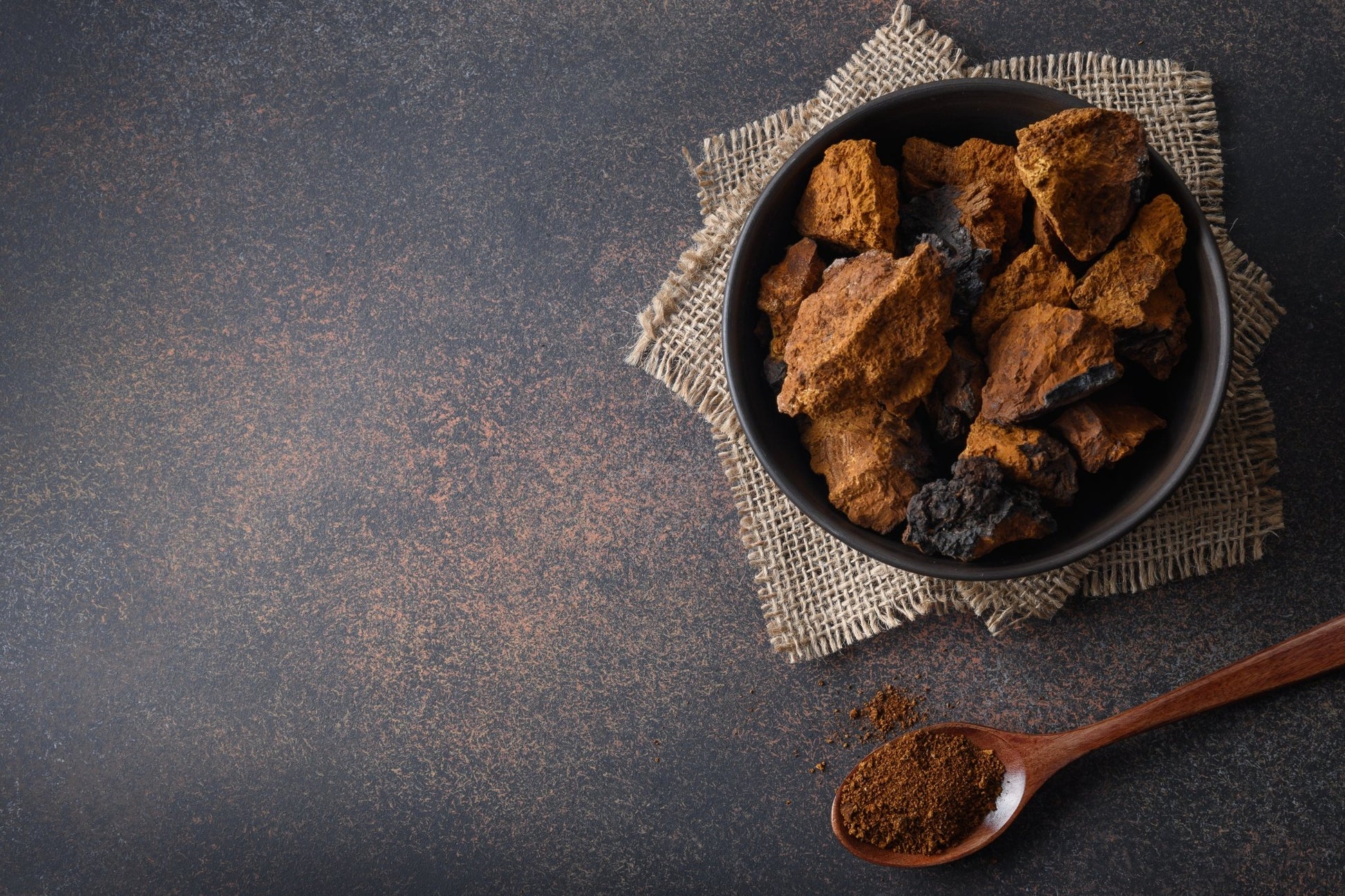 Wild Harvested Chaga Mushroom - Kootenay Woman