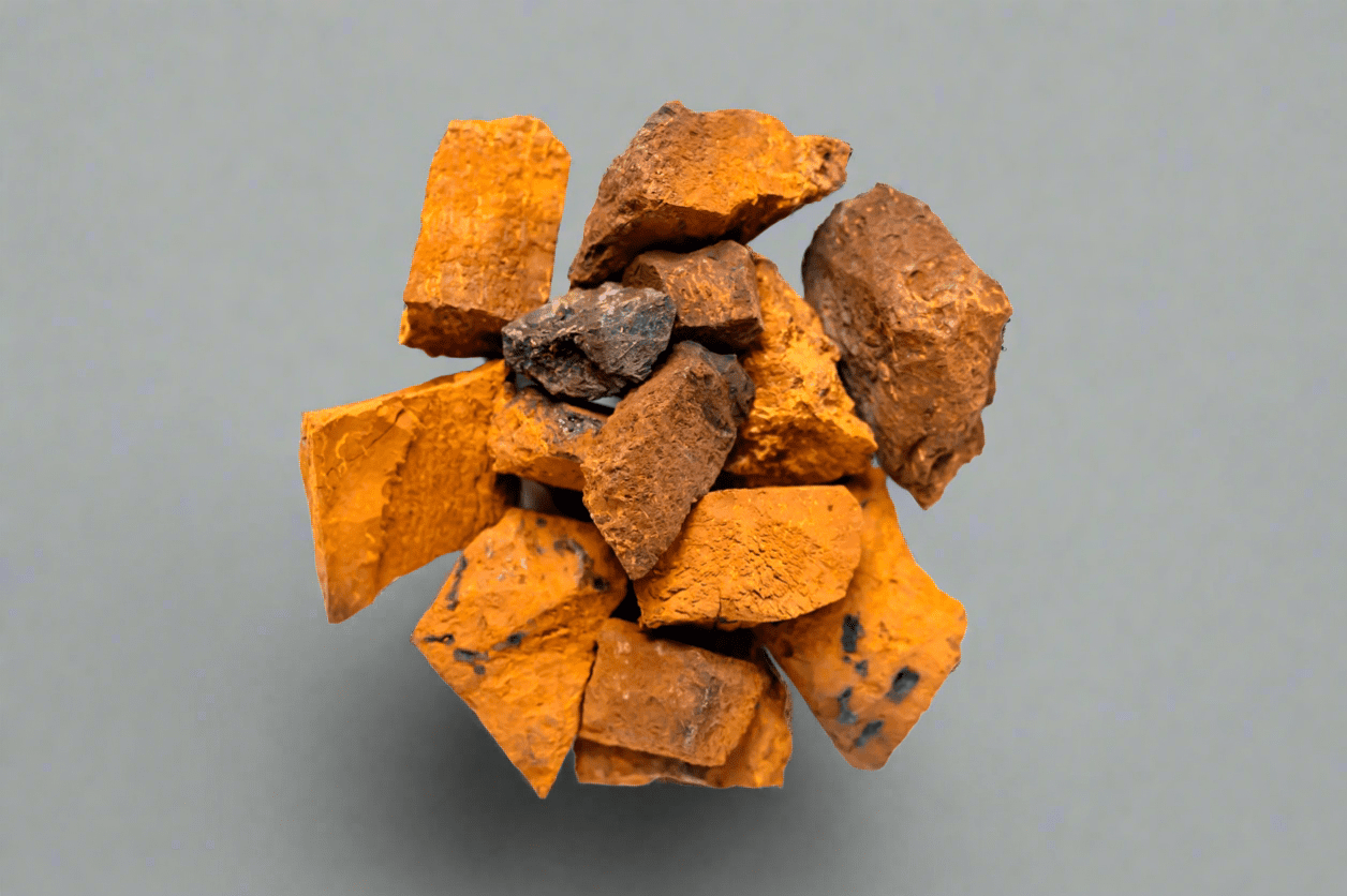 Wild Harvested Chaga Mushroom - Kootenay Woman