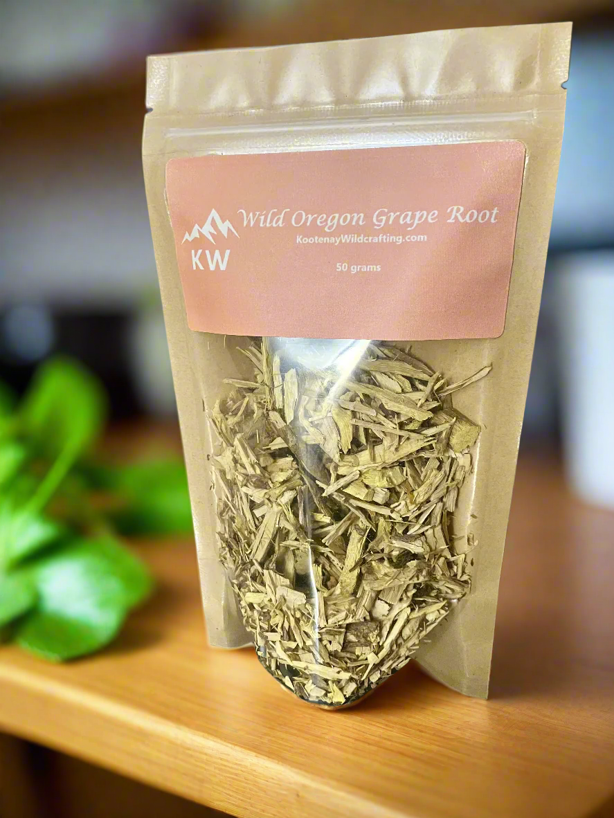 Wild Oregon Grape Root - Kootenay Woman